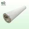 頗爾濾芯CS604